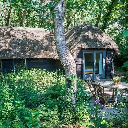 Aa Casia Vakantiehuis Zeegse Екстериор снимка