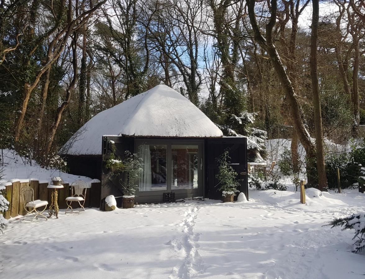 Aa Casia Vakantiehuis Zeegse Екстериор снимка